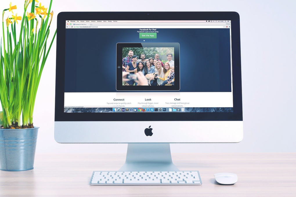 Webdesign Bildschirm mit Tastatur und Topfpflanze
